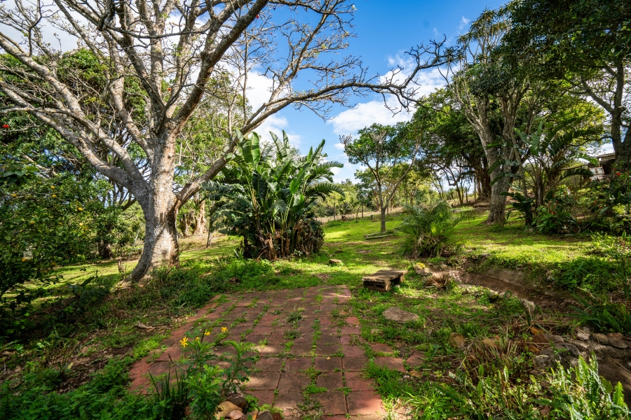 3 Bedroom Property for Sale in Bathurst Eastern Cape